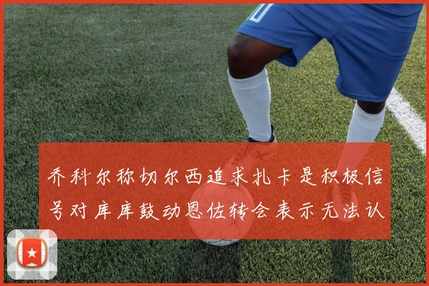 乔科尔称切尔西追求扎卡是积极信号对库库鼓动恩佐转会表示无法认同