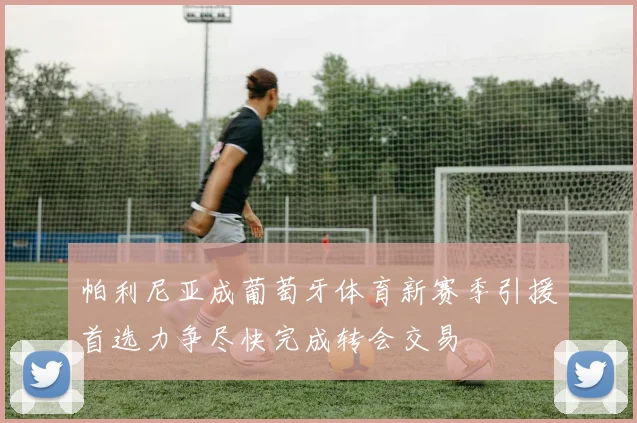 帕利尼亚成葡萄牙体育新赛季引援首选力争尽快完成转会交易